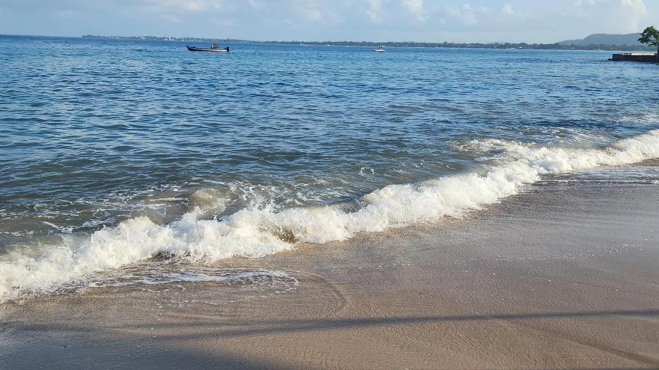 Hotel Purple Haze Resort Negril