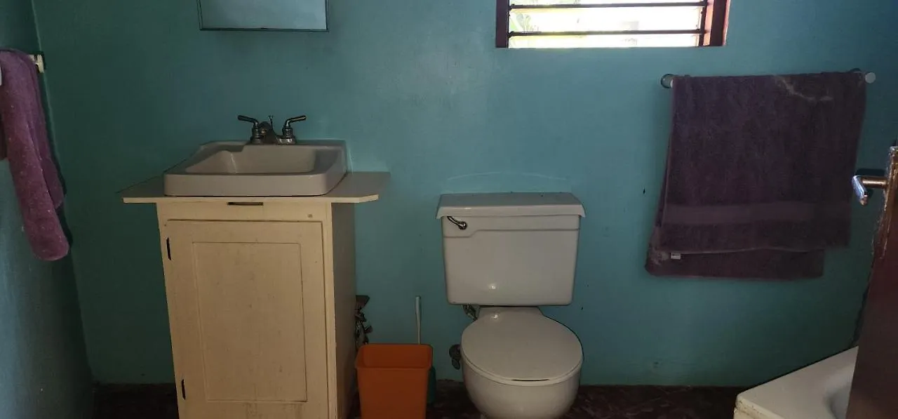 Purple Haze Resort Negril 2*,  Jamaica